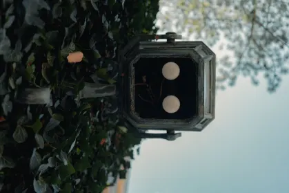 SpinTropolis Casino Application mobile